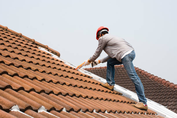 Best Roof Coating and Sealing  in Oak Park, CA